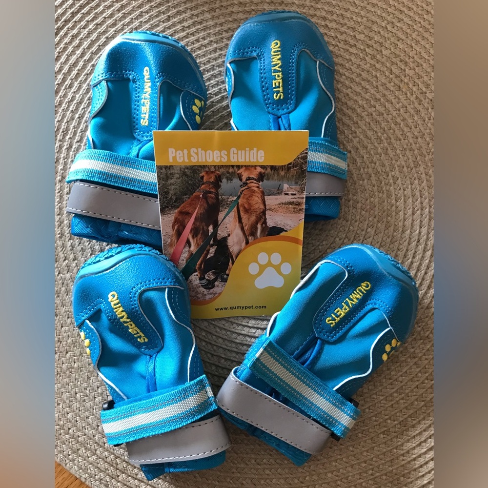 Quinpets Blue Pet Shoes size 3 NEW